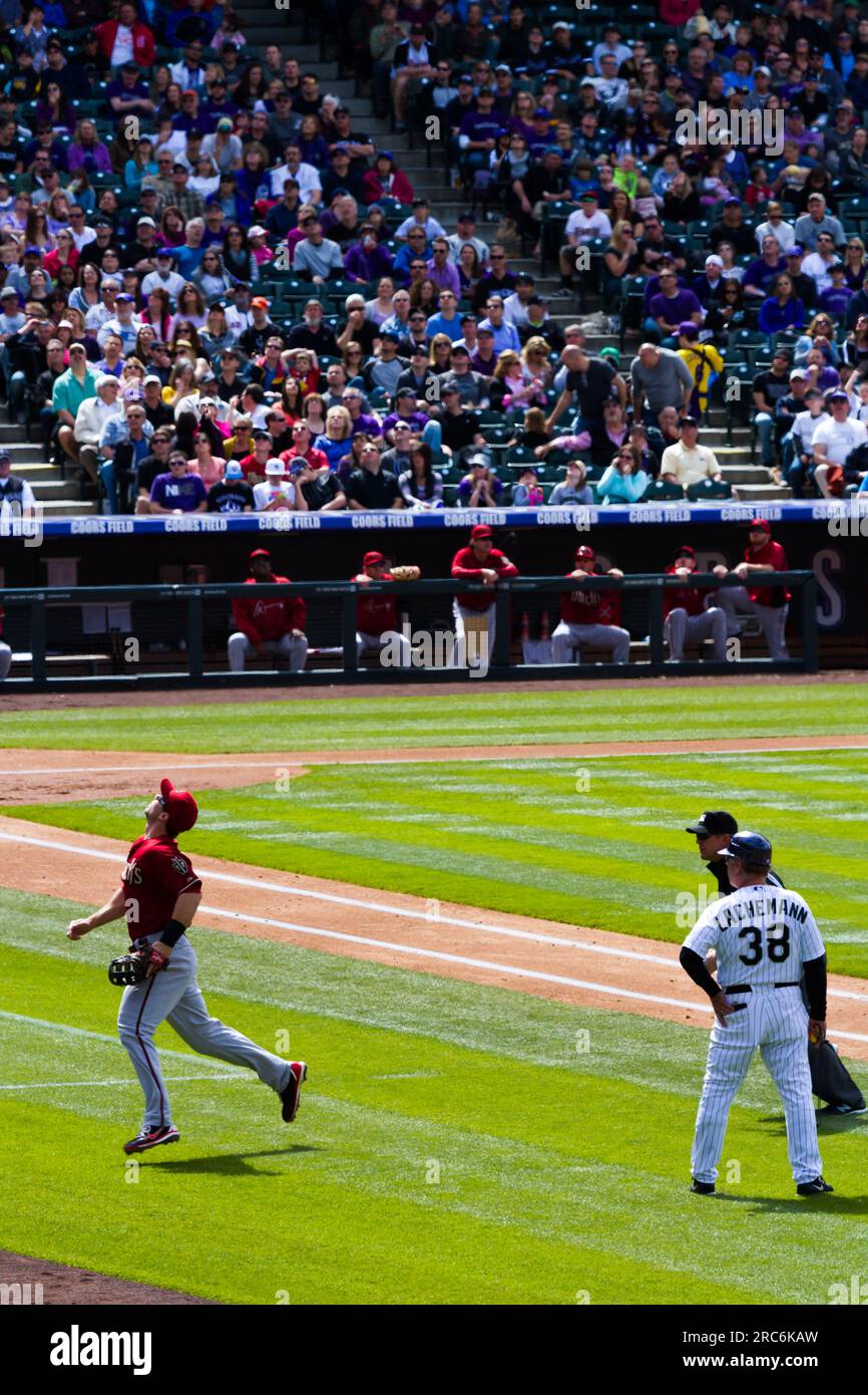 Arizona diamondbacks spectators hi-res stock photography and images - Alamy