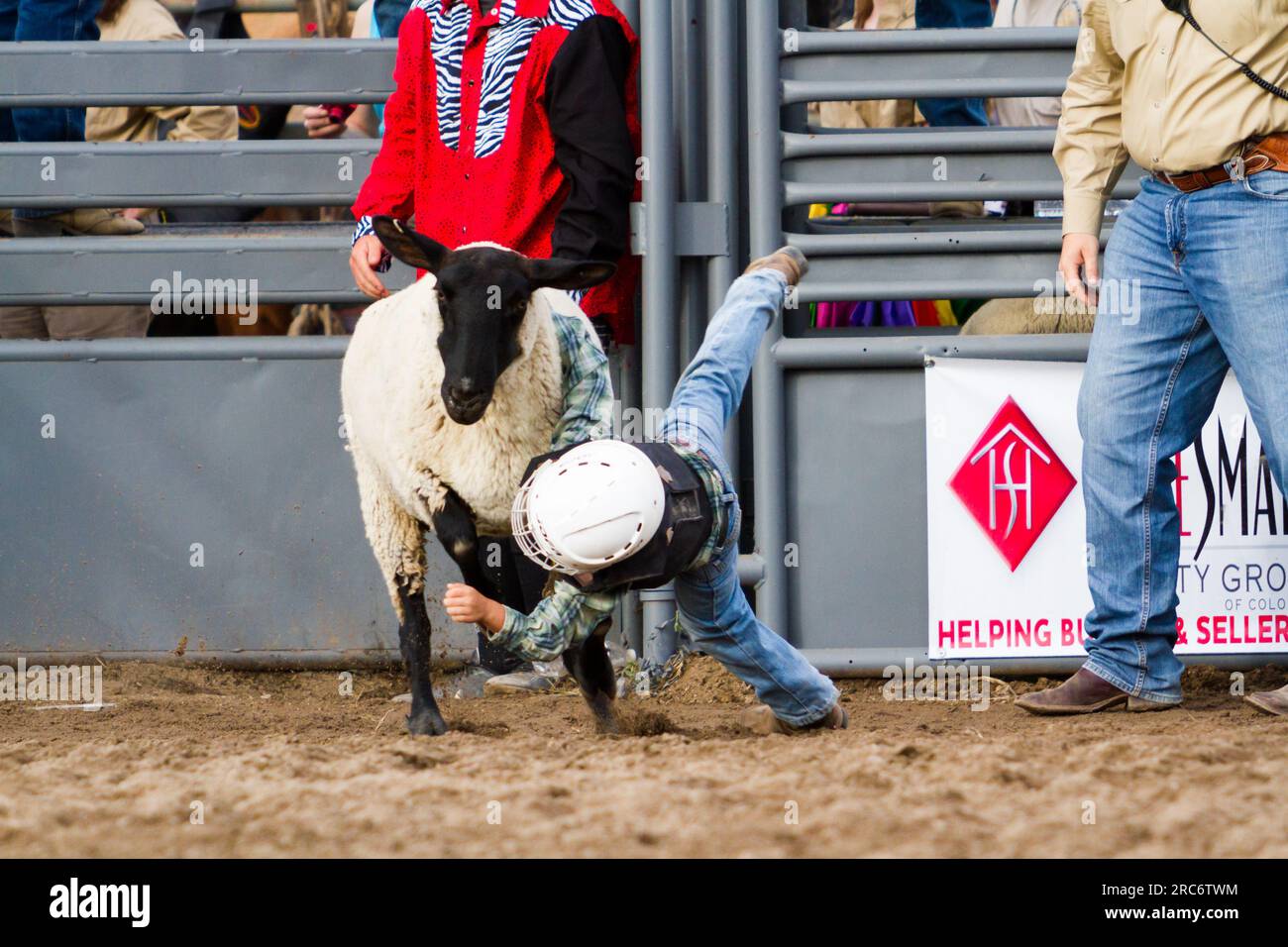 Rodeo mutton bustin hi-res stock photography and images - Alamy