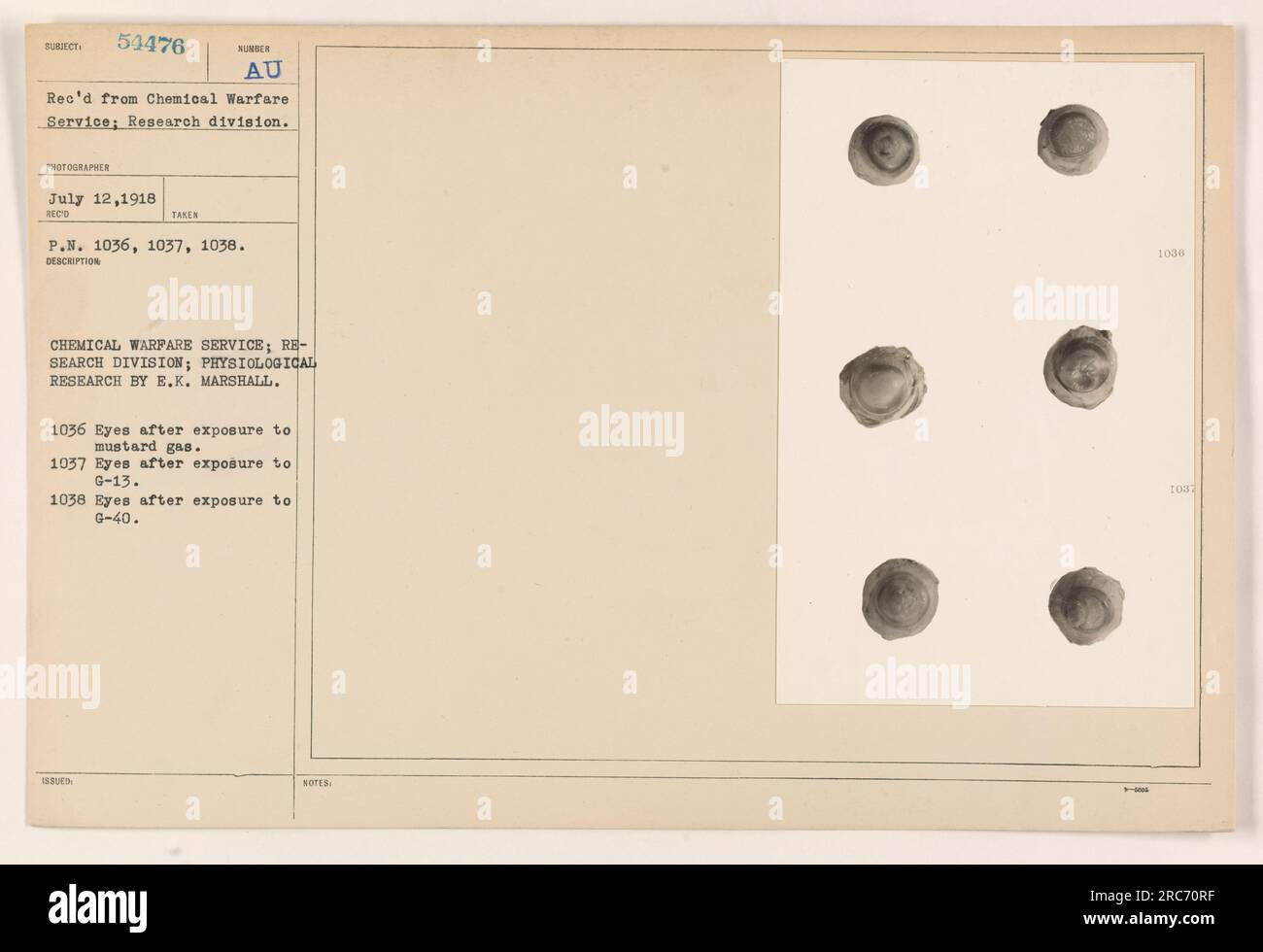 Marshalls experiments hires stock photography and images Alamy