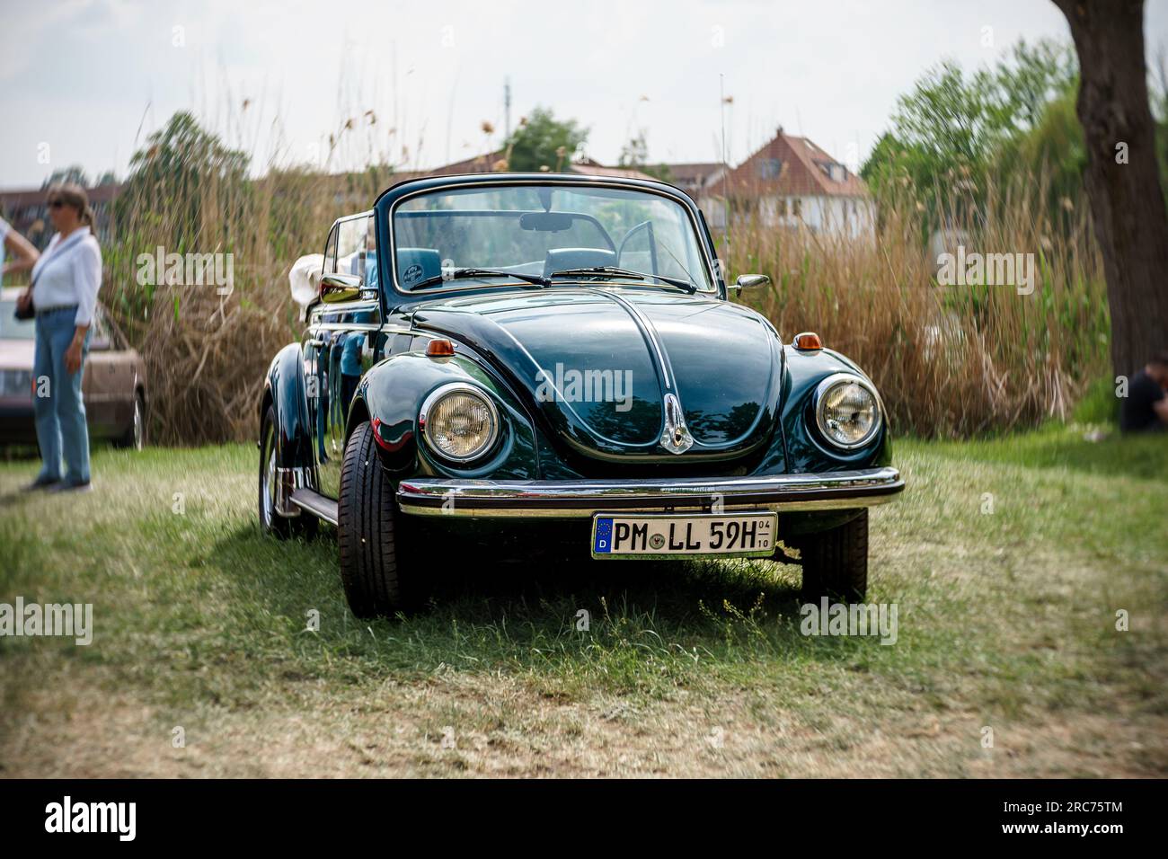Künstlerische Illustration, Volkswagen vw beetle