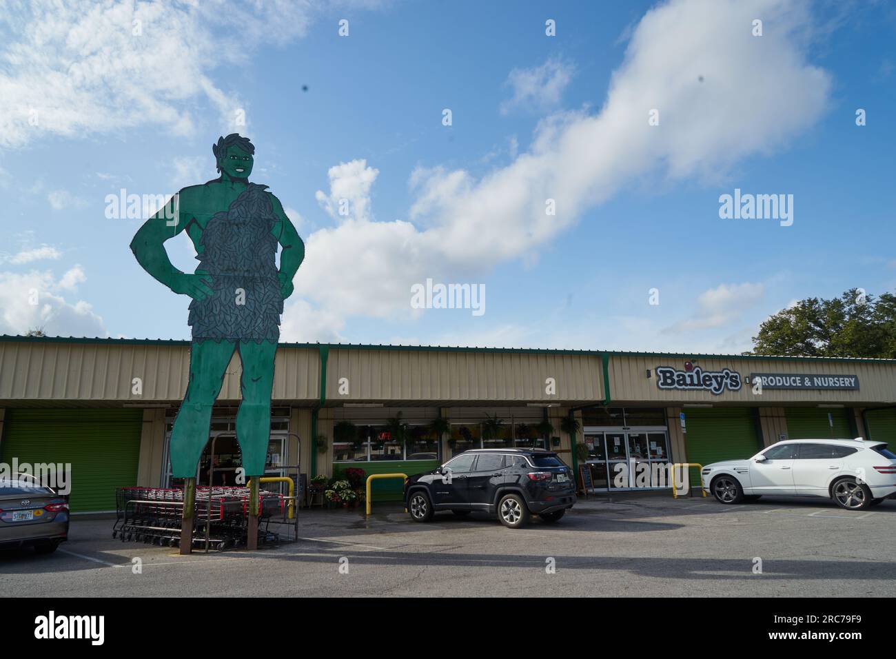 Bailey’s Produce & Nursery, a local market and nursery with over 80