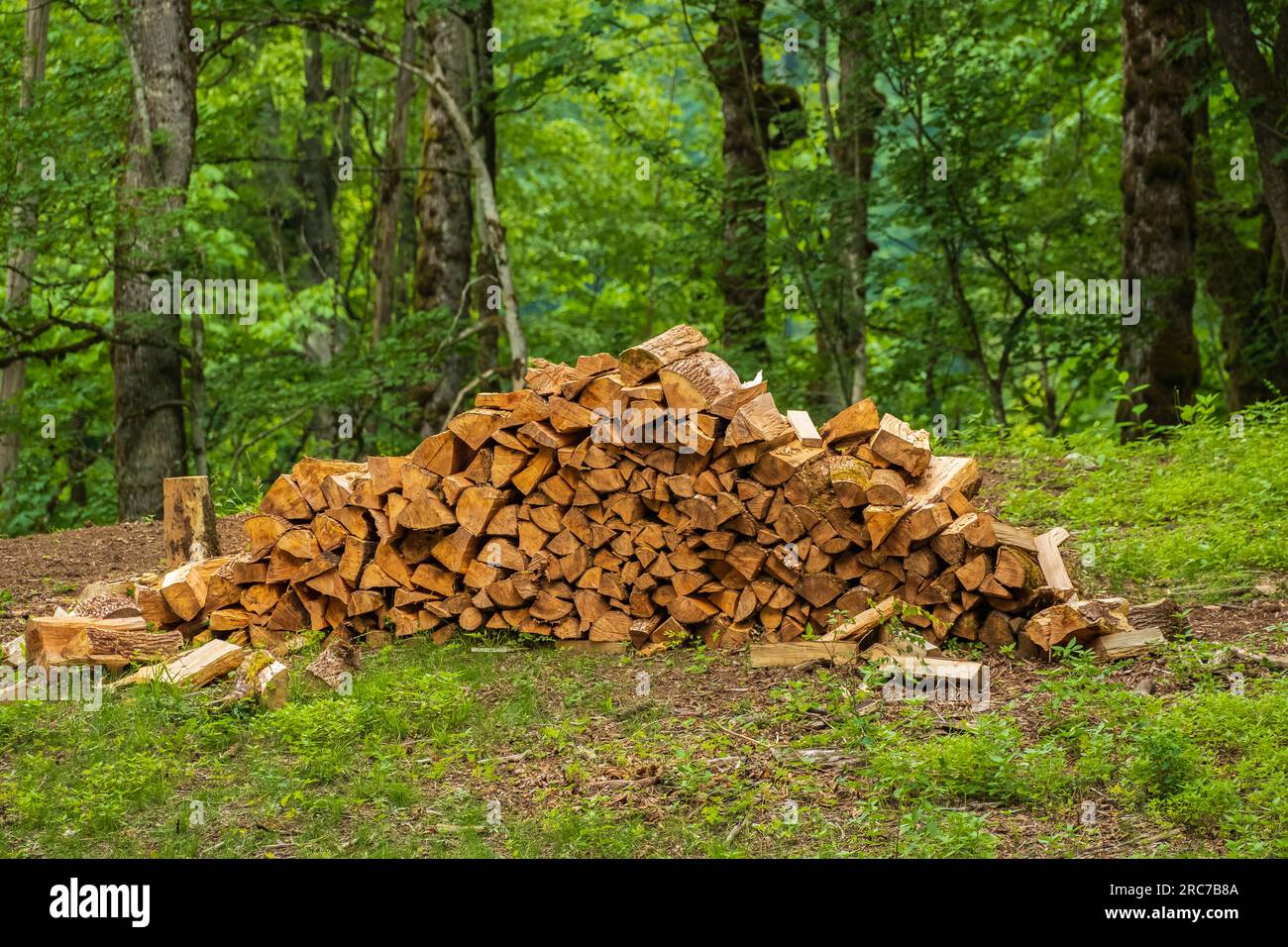 A pile of stacked firewood, prepared for heating the house, Firewood harvested for heating in winter, Chopped firewood on a stack, Firewood stacked an Stock Photo