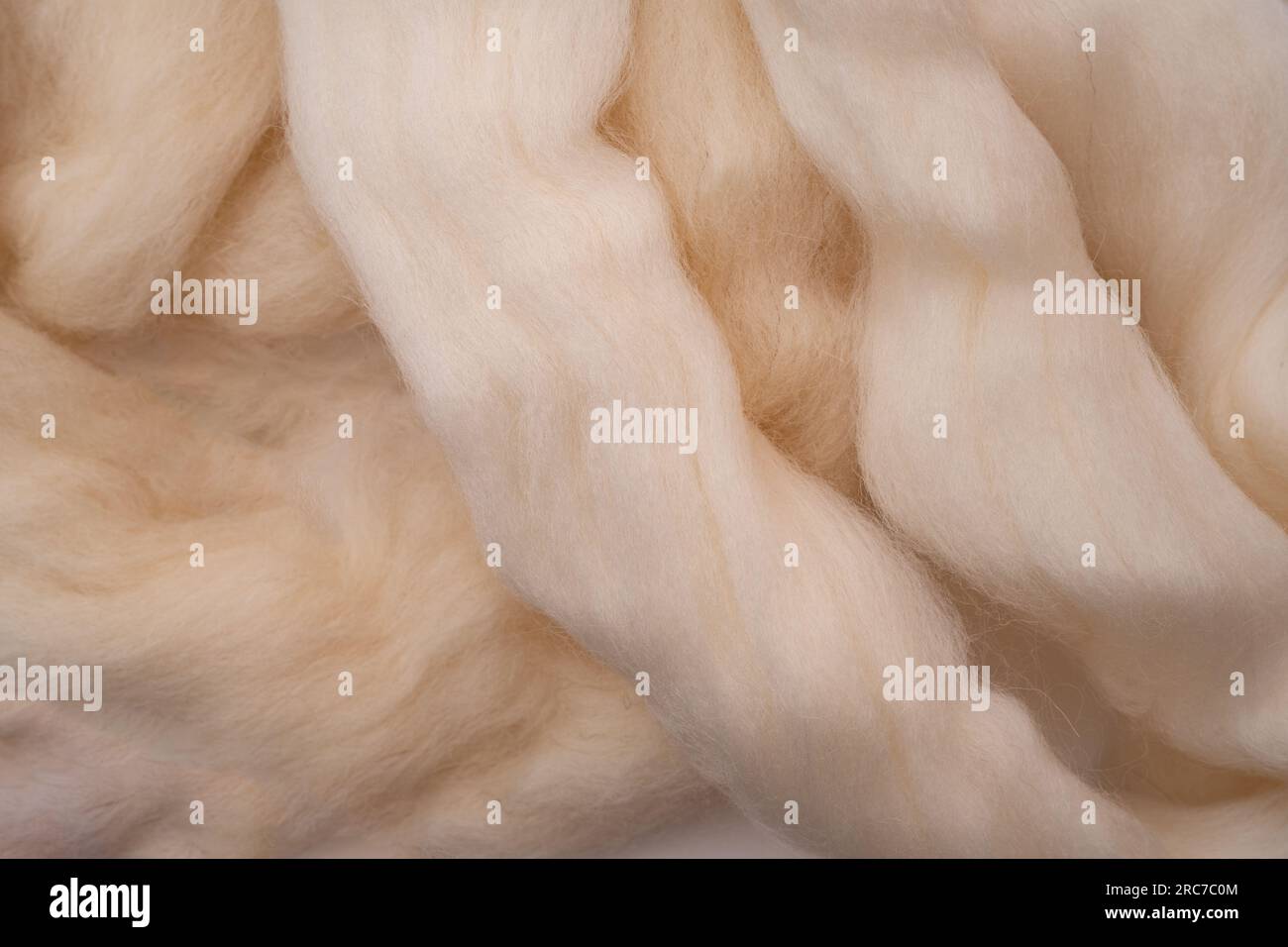 White merino wool for felting as background. Merino wool for felting