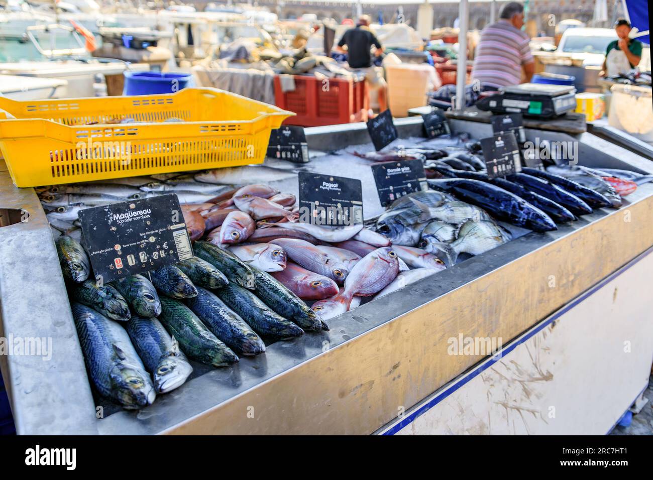 Freshly caught fish, mackerel, sea bream and dorade bass on display at the fish market in the old town or Vieil Antibes, South of France Stock Photo