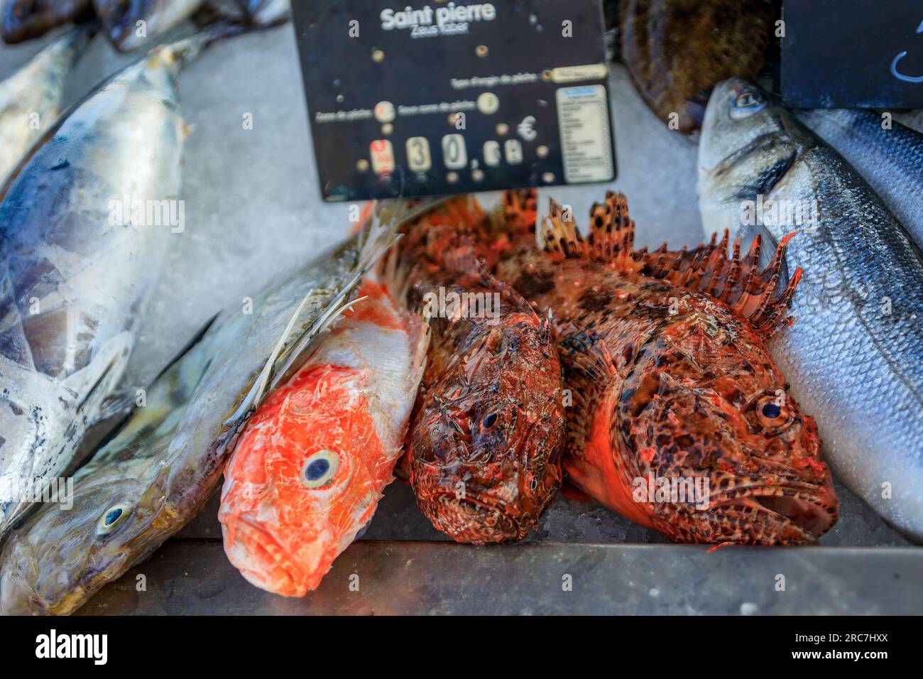 Freshly caught John Dory or Saint Pierre fish on display at the fish market in the old town or Vieil Antibes, South of France Stock Photo