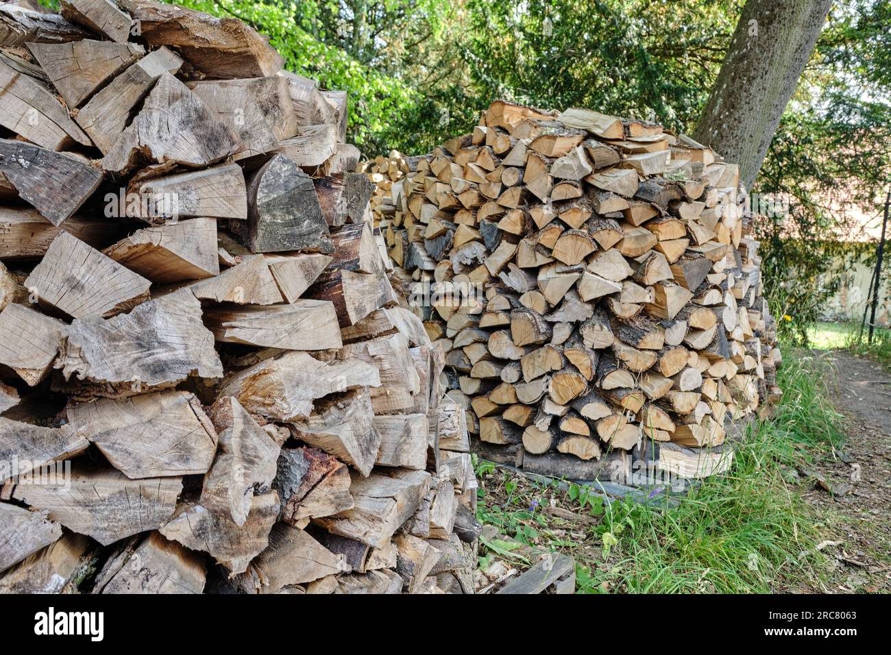 Woodpile stack log pile lumber timber hi-res stock photography and ...