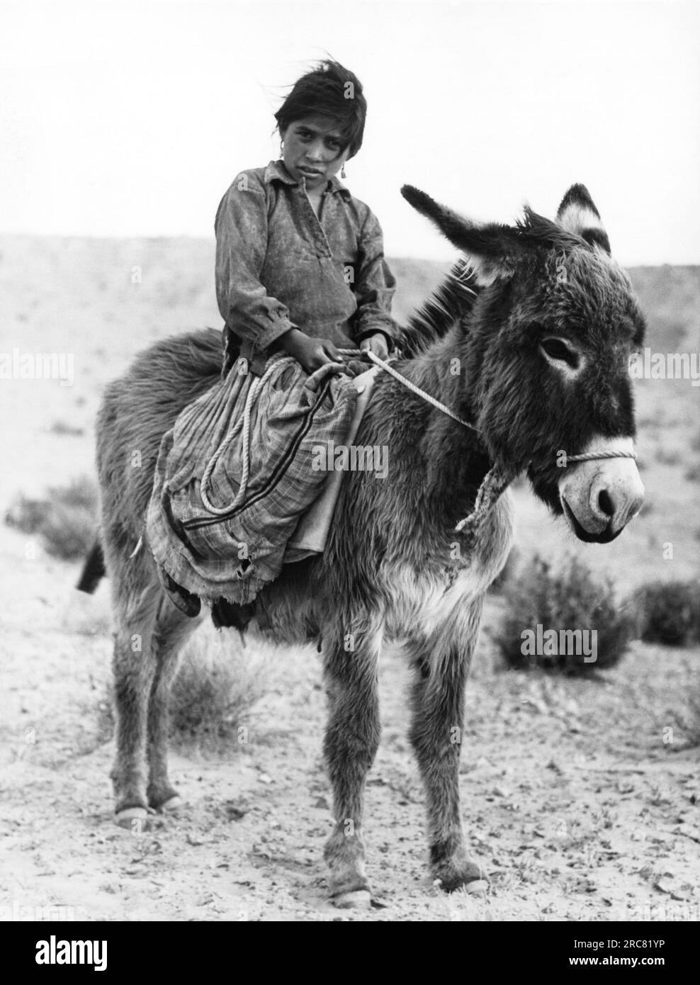 Painted Desert, Arizona:  June 5, 1935 This young Navajo girl is tending her family's flock of sheep and goats that are out grazing in the scarce vegetation. Stock Photo
