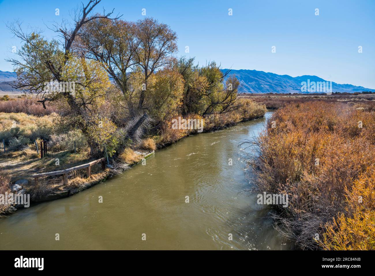 Owens River in Owens Valley, Sierra Nevada in distance, late fall, near Big Pine, California, USA Stock Photo