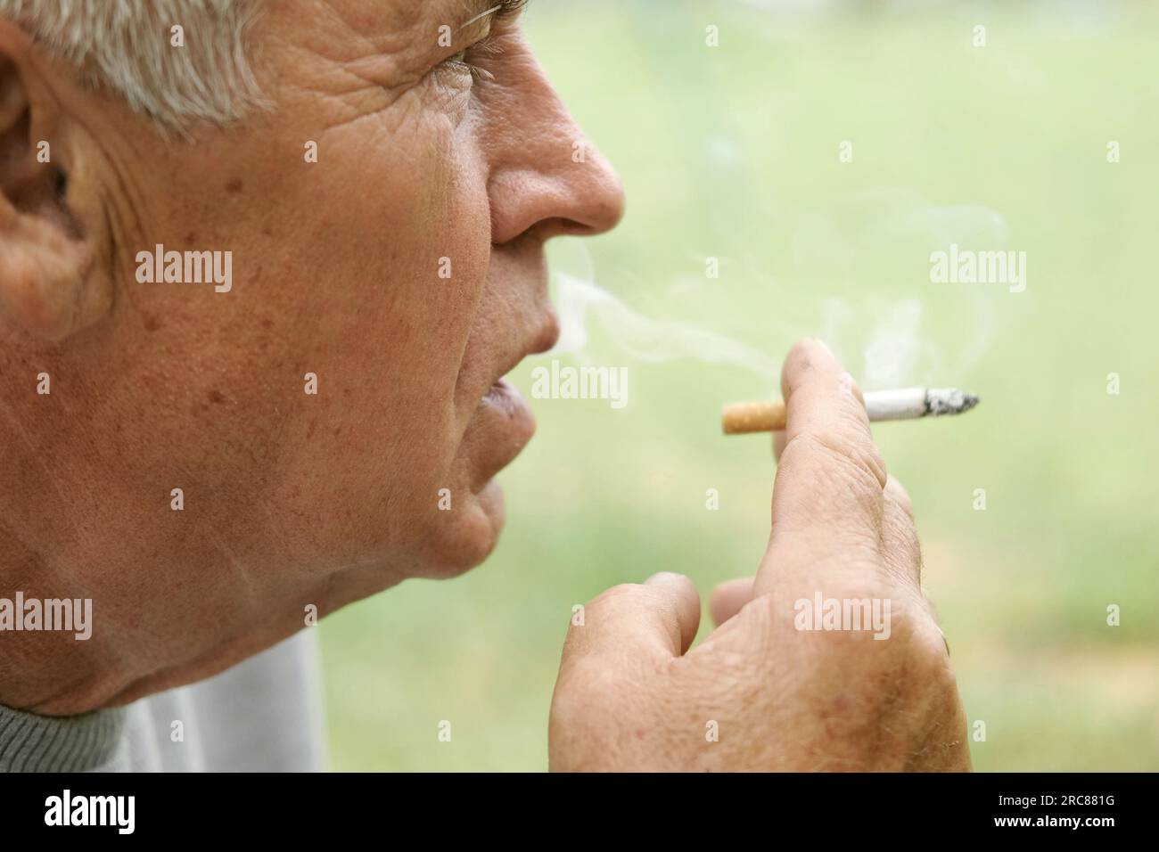 can you order japanese cigarettes online Amazon.com: Herbal Cigarettes