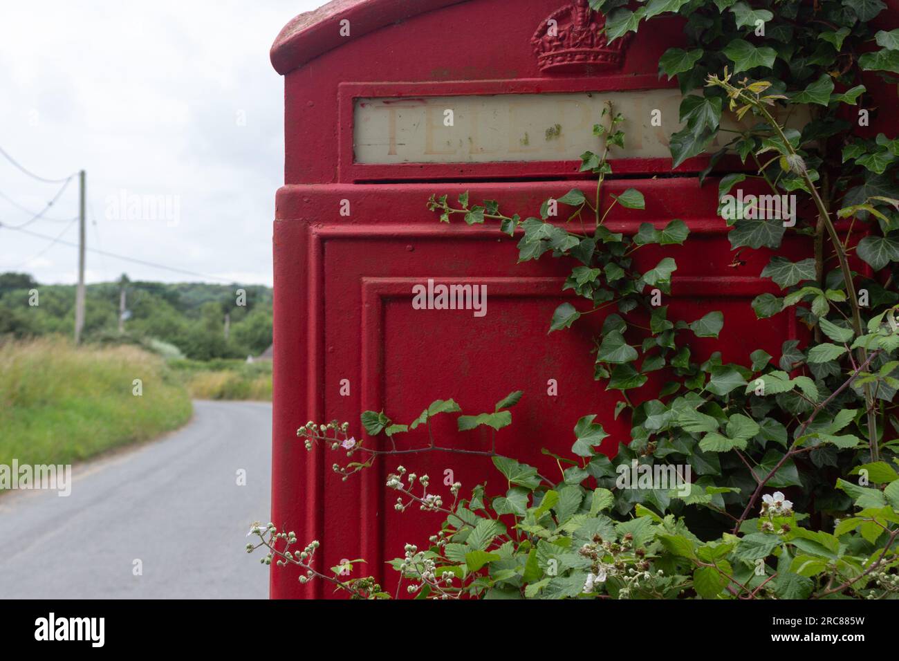 Detail of an old K6 type red phone box on a country lane with ivy climbing over it, suggesting the decline of public services Stock Photo
