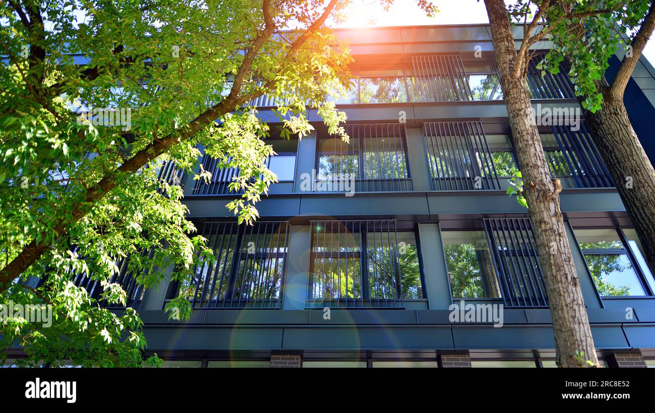 Sustainable glass office building with trees for reducing carbon ...