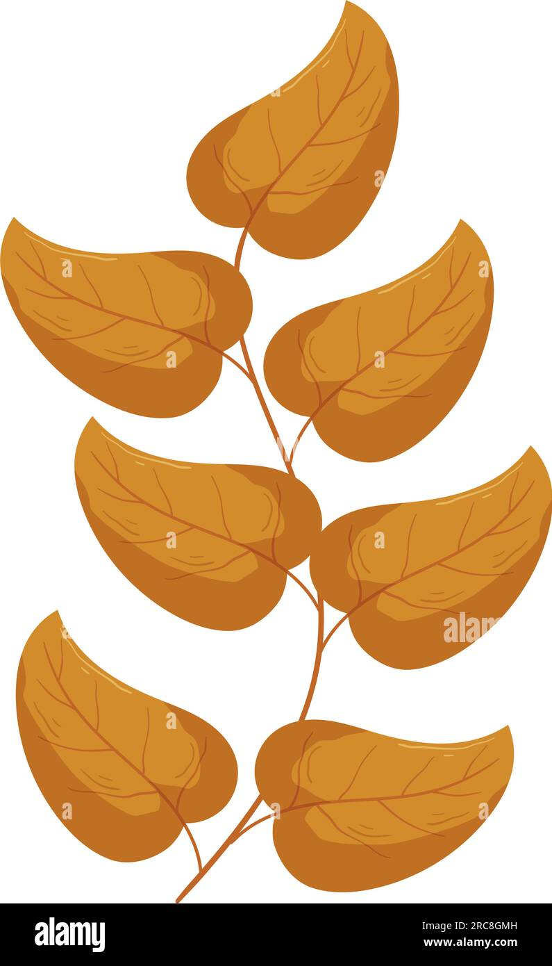 Autumn forest leaf branch illustration Stock Vector Image & Art - Alamy