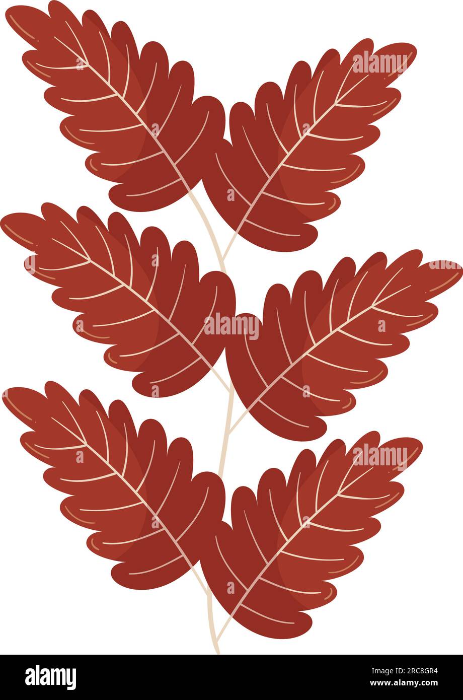 Autumn forest leaf branch illustration Stock Vector Image & Art - Alamy