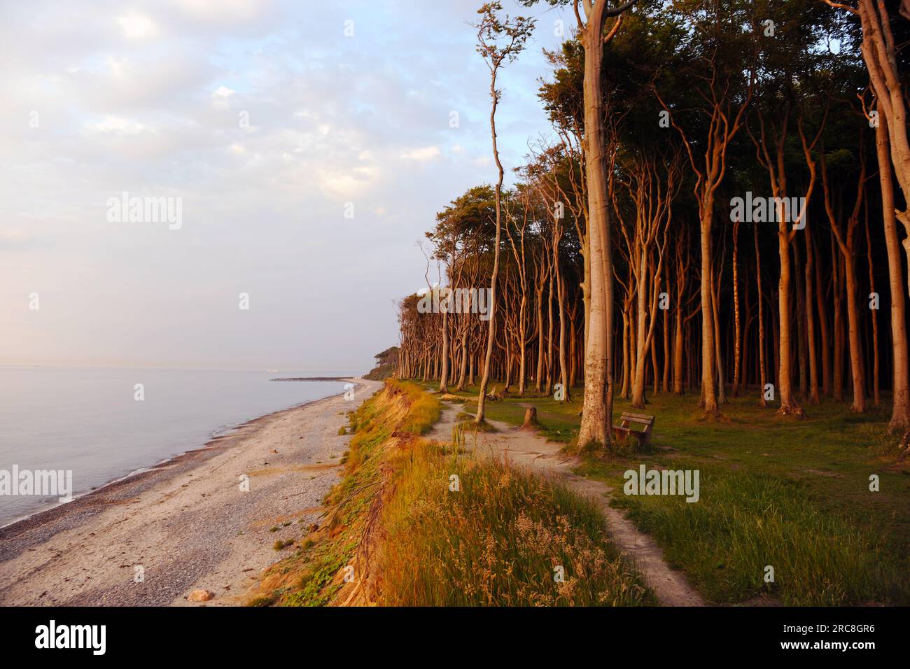 Sunset on the Baltic Sea at the Gespensterwald in Nienhagen, Germany Stock Photo