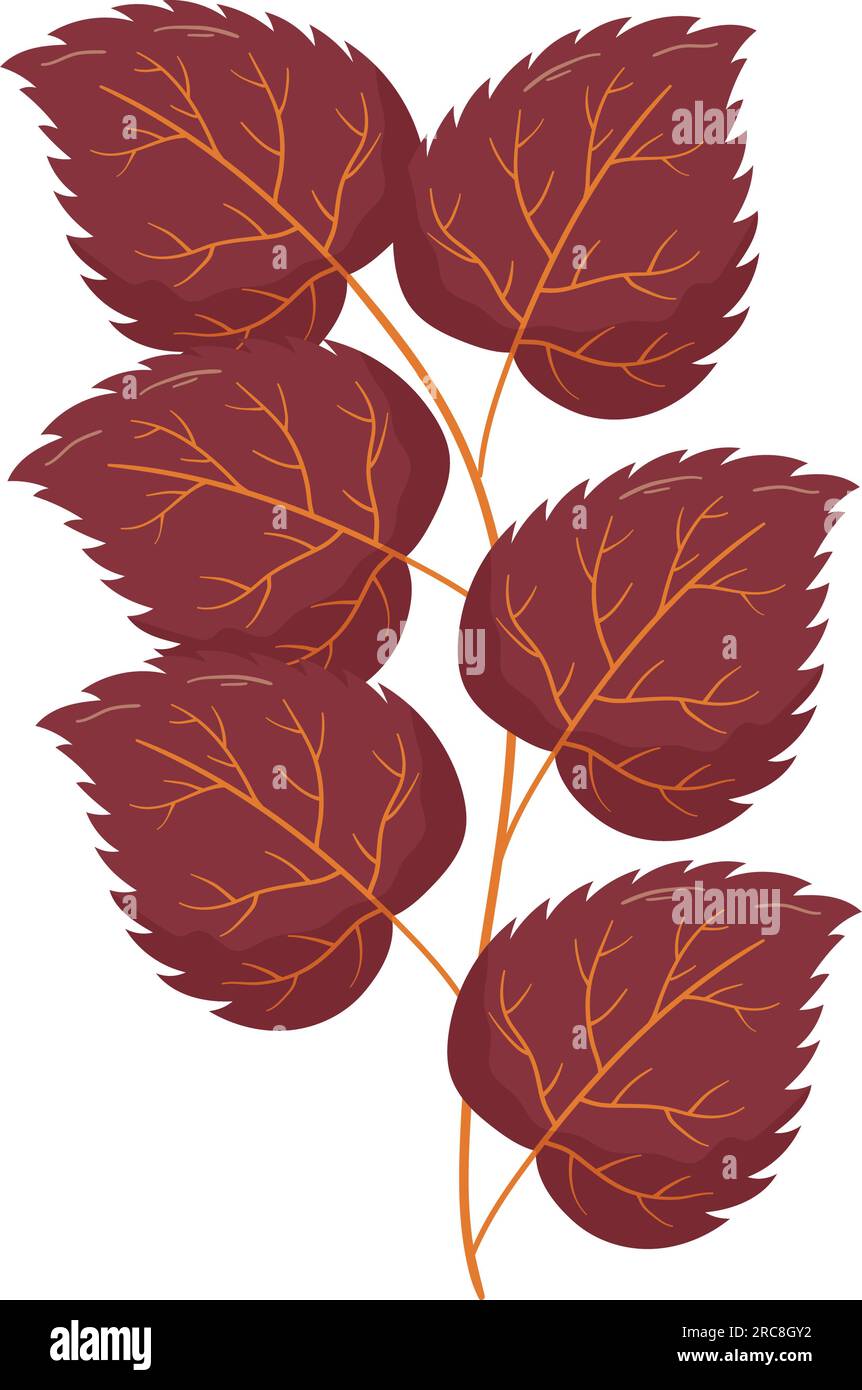 Autumn forest leaf branch illustration Stock Vector Image & Art - Alamy