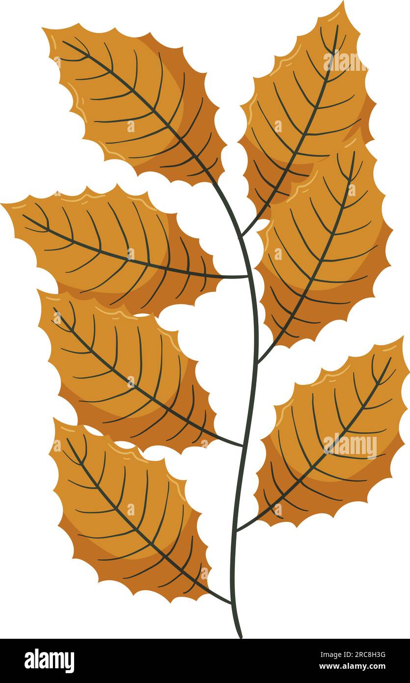 Autumn forest leaf branch illustration Stock Vector Image & Art - Alamy