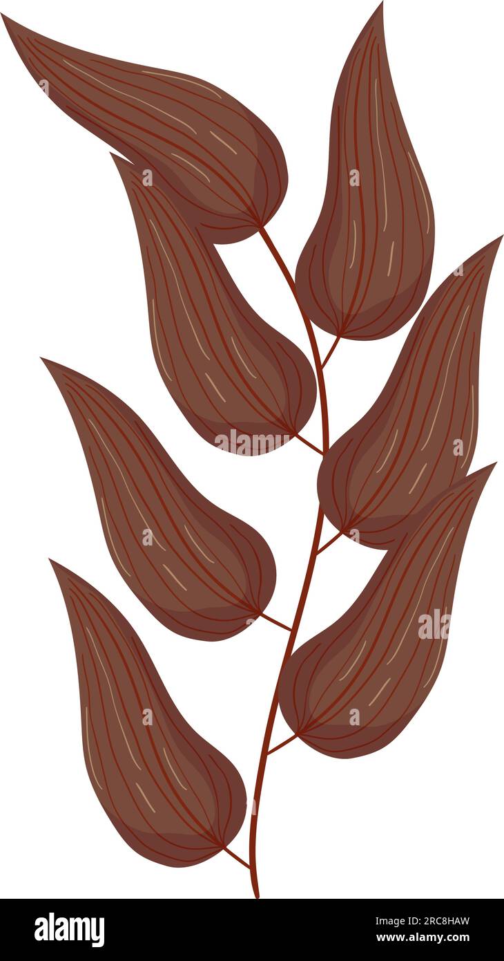 Autumn forest leaf branch illustration Stock Vector Image & Art - Alamy