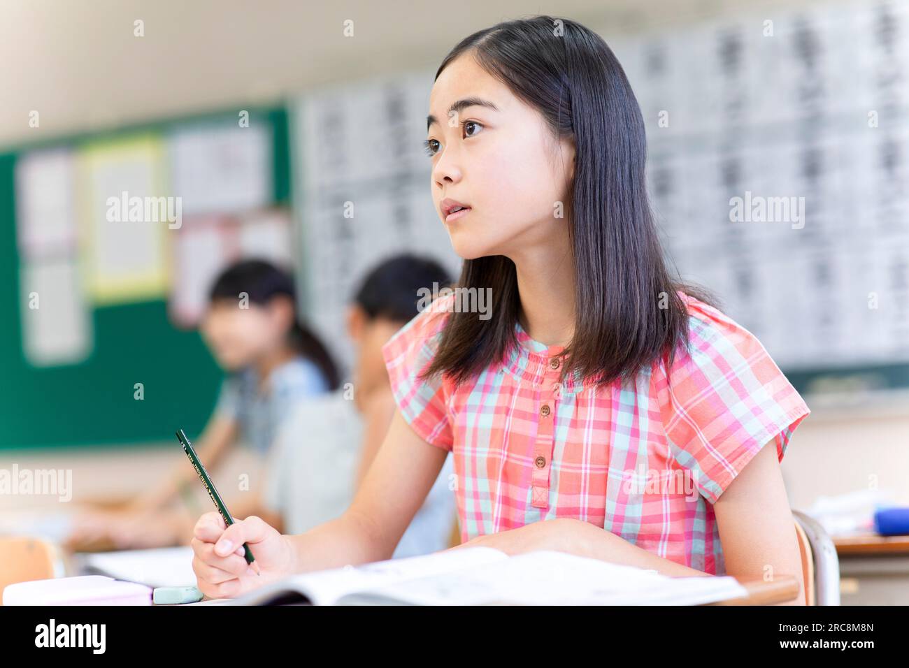 Elementary school student studying during class Stock Photo - Alamy