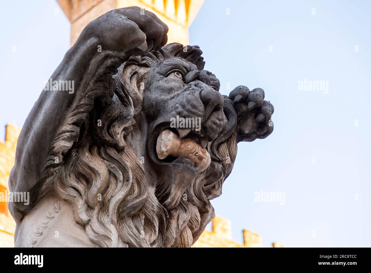 Sculpture of a lion holding a human head in the mouth, located on the Signoria Square, Florence, Tuscany, Italy. Stock Photo