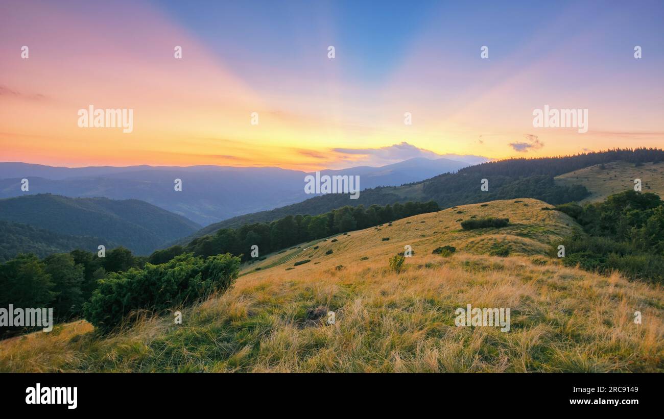 green carpathian mountainous scenery of ukraine. meadows and forested hills beneath a sky with sunrays through clouds. warm summer scenery at dusk Stock Photo