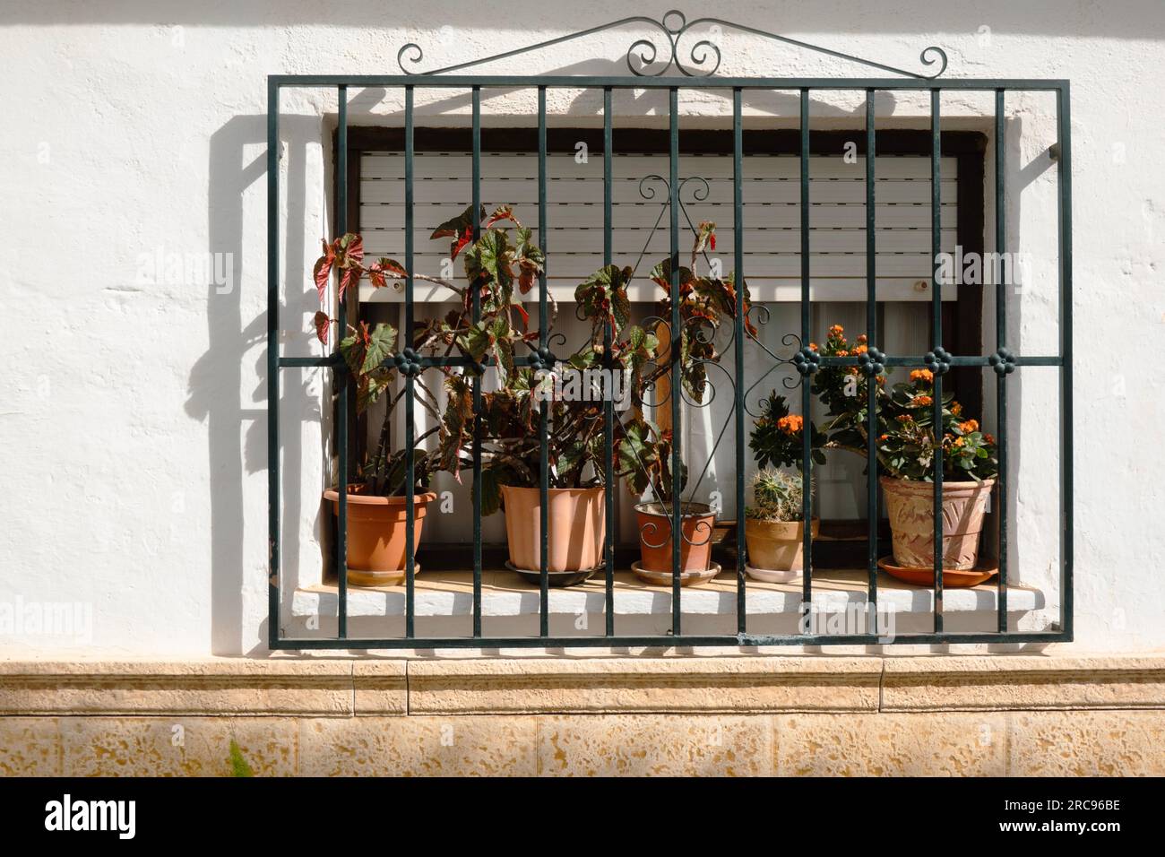 Window with decorative black iron bars overgrown with potted flower