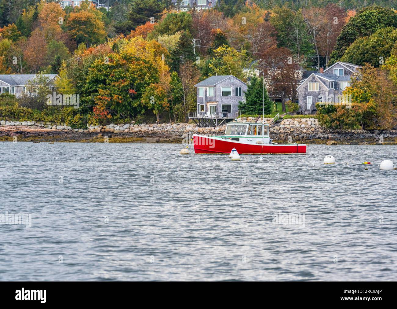 Autumn color in Mount Desert Island in Maine Stock Photo Alamy