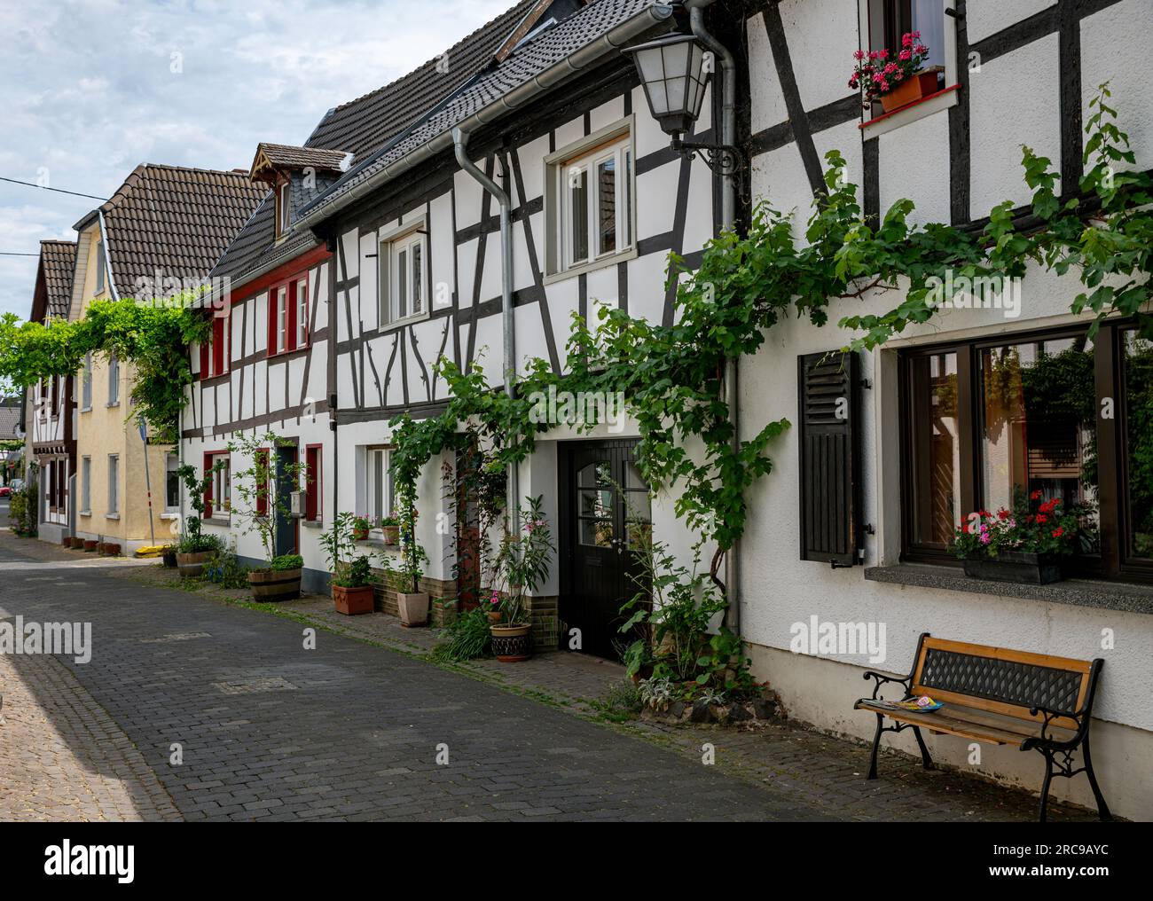 the grape vines grow along the half timbered houses in the town of erpel in germany Stock Photo