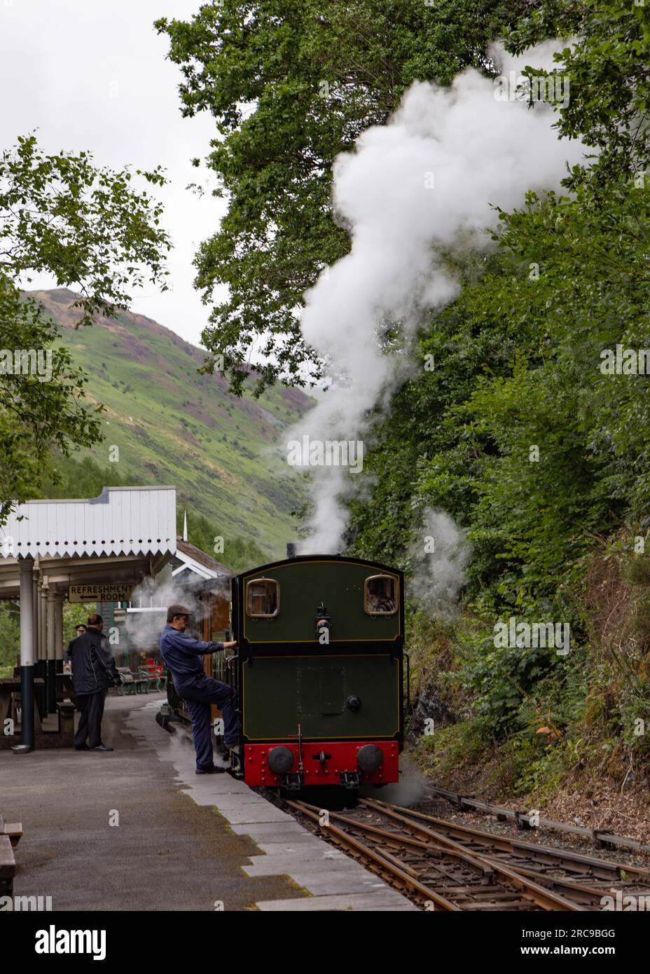 Tallyllyn Railway narrow gauge steam locomotive Tom Rolt heads a train ...