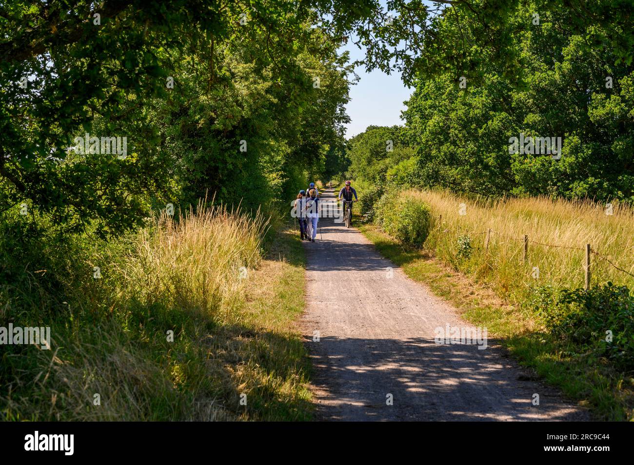 Three middle-aged walkers and a cyclist on the Downs Link path, a disused railway line. West Grinstead, West Sussex, England. Stock Photo