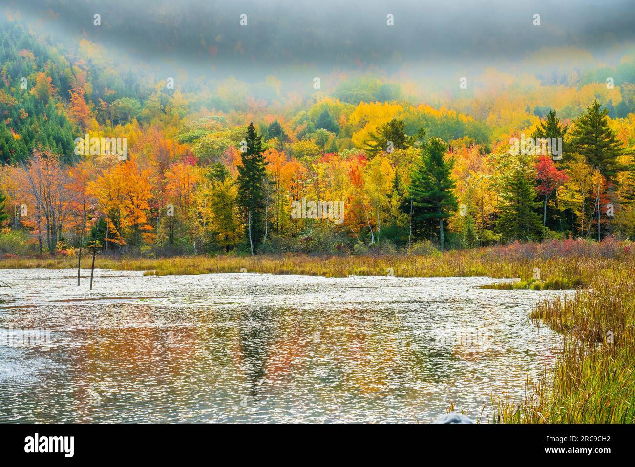 Autumn color in Mount Desert Island in Maine. Stock Photo
