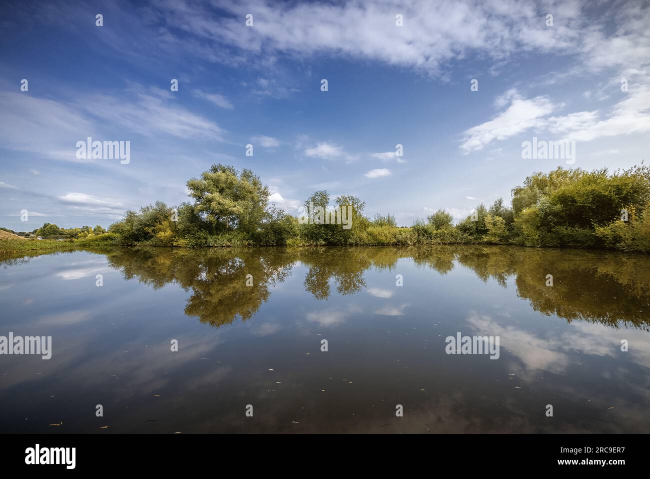 Spätsommerlicher Himmel spiegelt sich auf der Wasseroberfläche eines Angelteiches an der Pinnau in Neuendeich Stock Photo