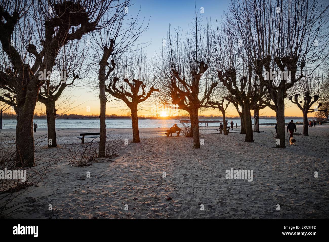 Frostig-sonniger Wintertag am Wittenbergener Elbstrand in Hamburg-Rissen. Die schon sehr tief stehende Nachmittagssonne beleuchtet die kahlen Bäume am Stock Photo