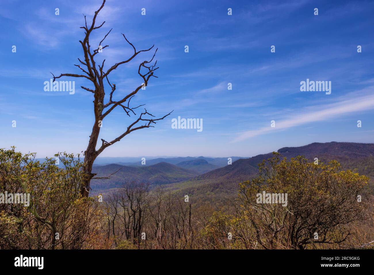 Morning view of trees and mountain ranges seen from Blue Ridge Parkway in North Carolina Stock