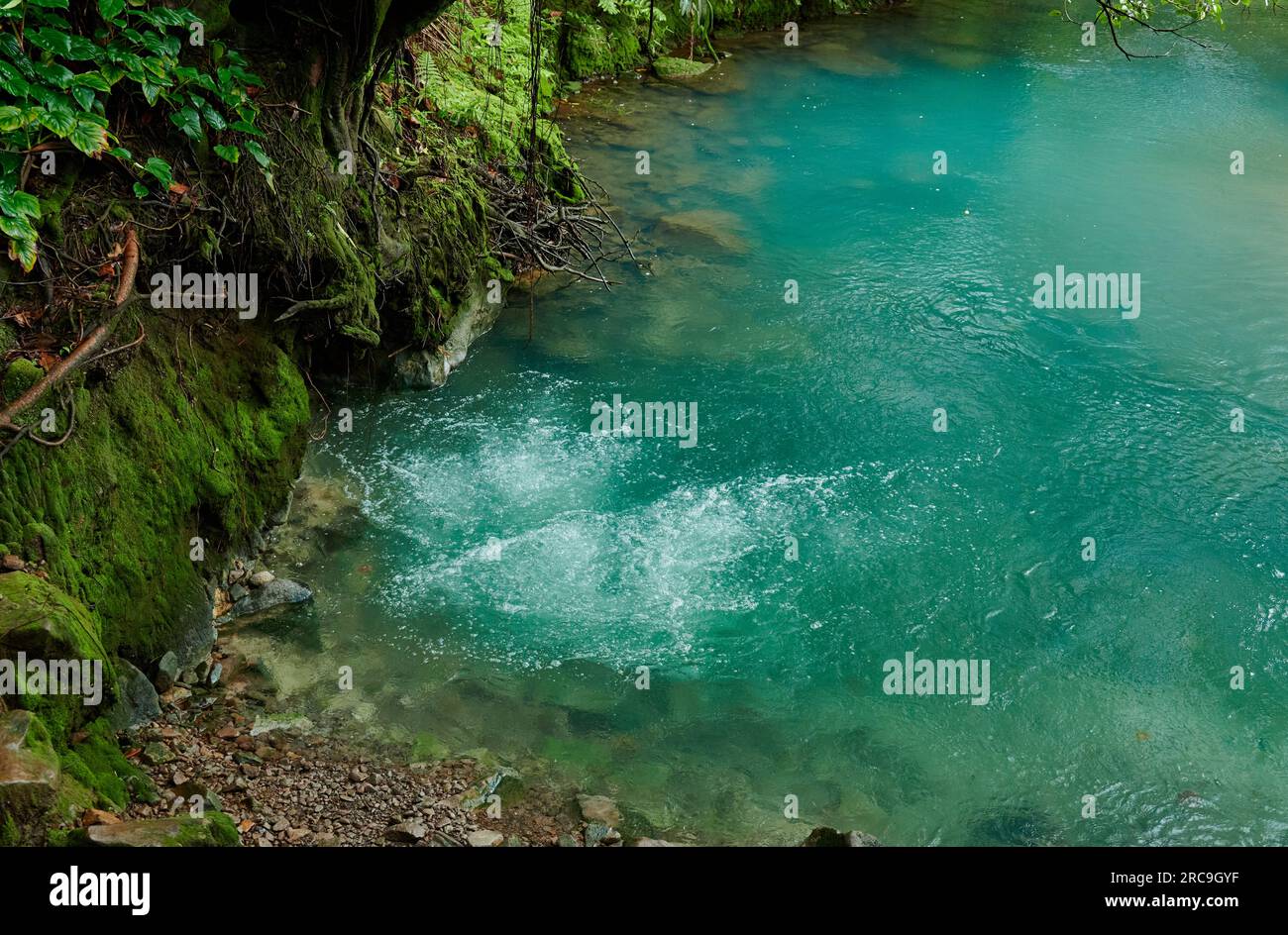 sprudelnde heiße Quellen am blauen Fluss Rio Celeste, Parque Nacional