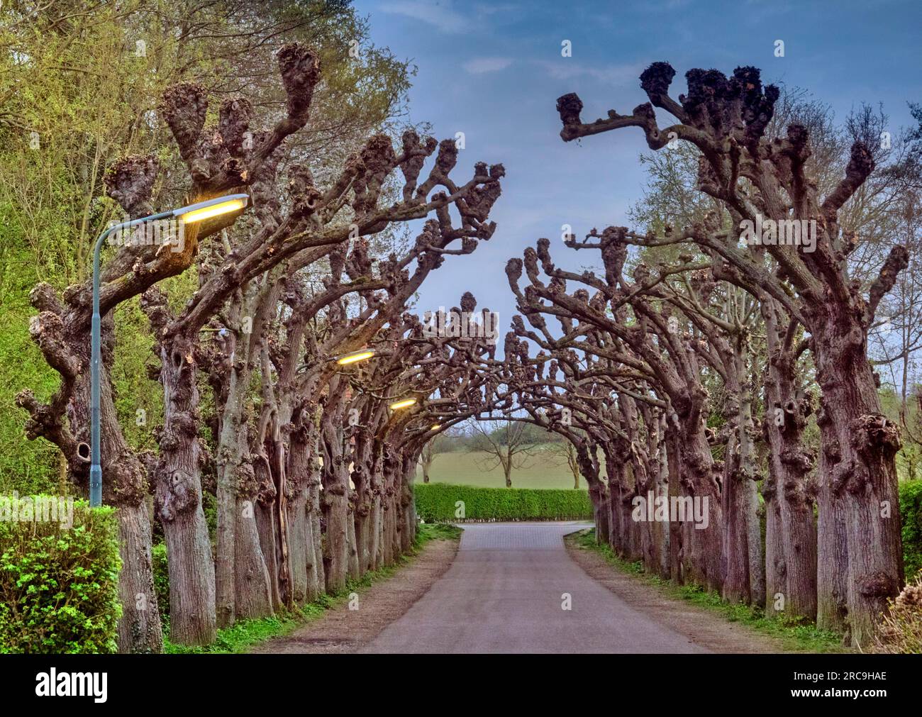 Schloss schaloen hires stock photography and images Alamy