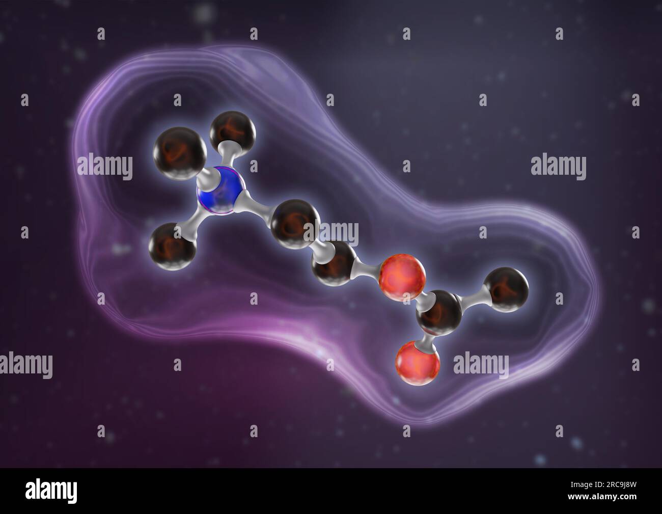 Illustration des Neurotransmitters Acetylcholin als Kugel-Stab-Modell mit angedeutetem Oberflächenmodell auf violettem Hintergrund. Acetylcholin ist e Stock Photo