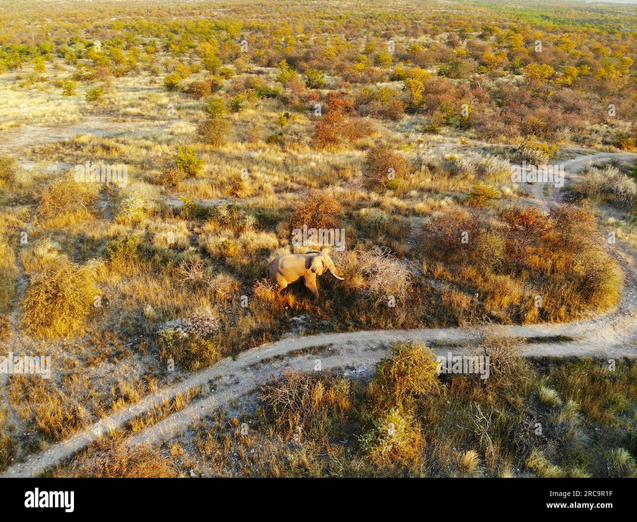 Drone Photography in Namibia Stock Photo Alamy
