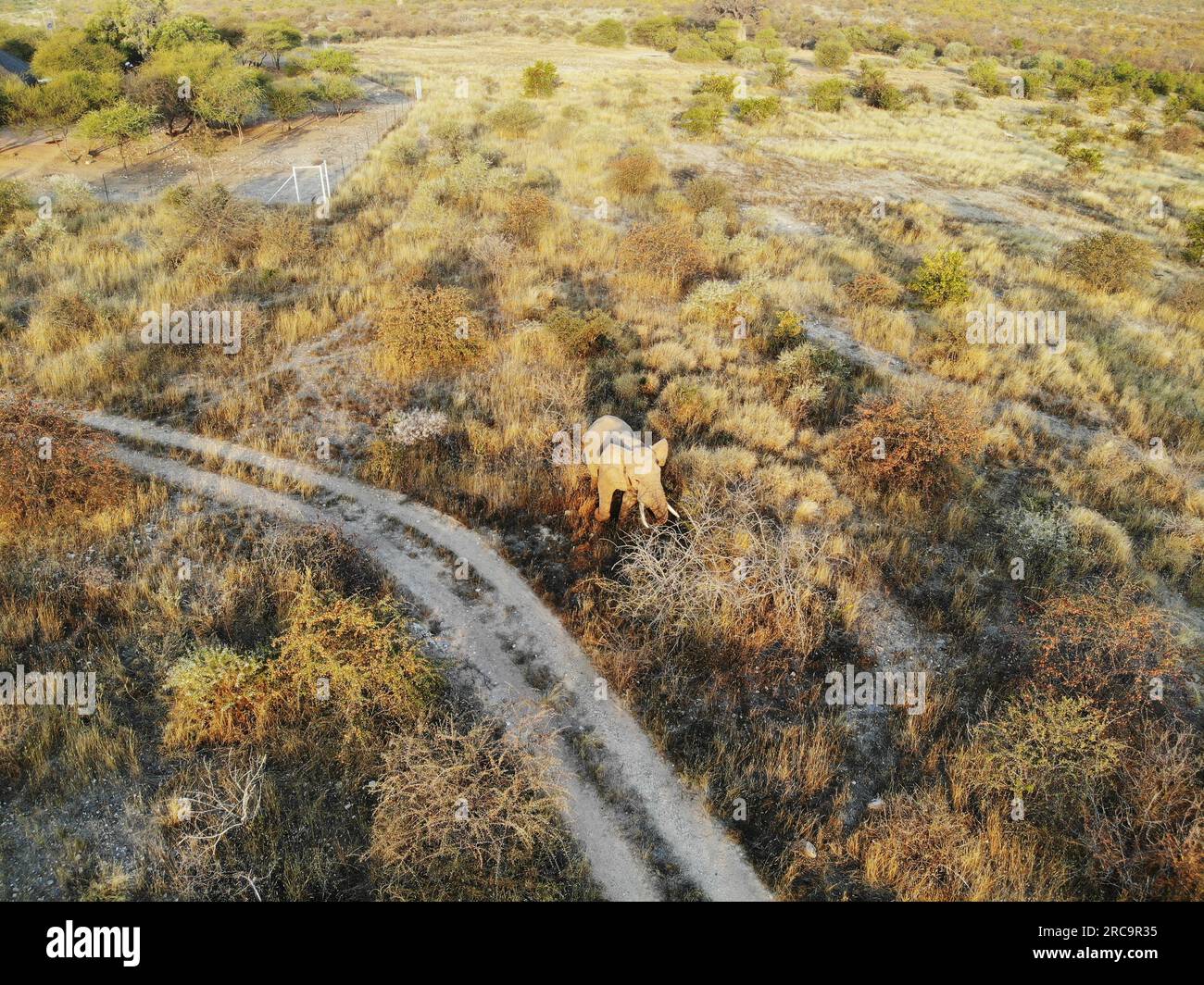 Drone Photography in Namibia Stock Photo Alamy