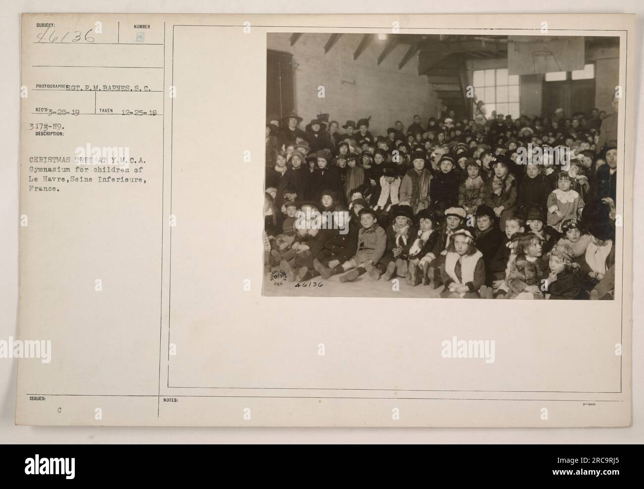 Sumber issued tree hi-res stock photography and images - Alamy