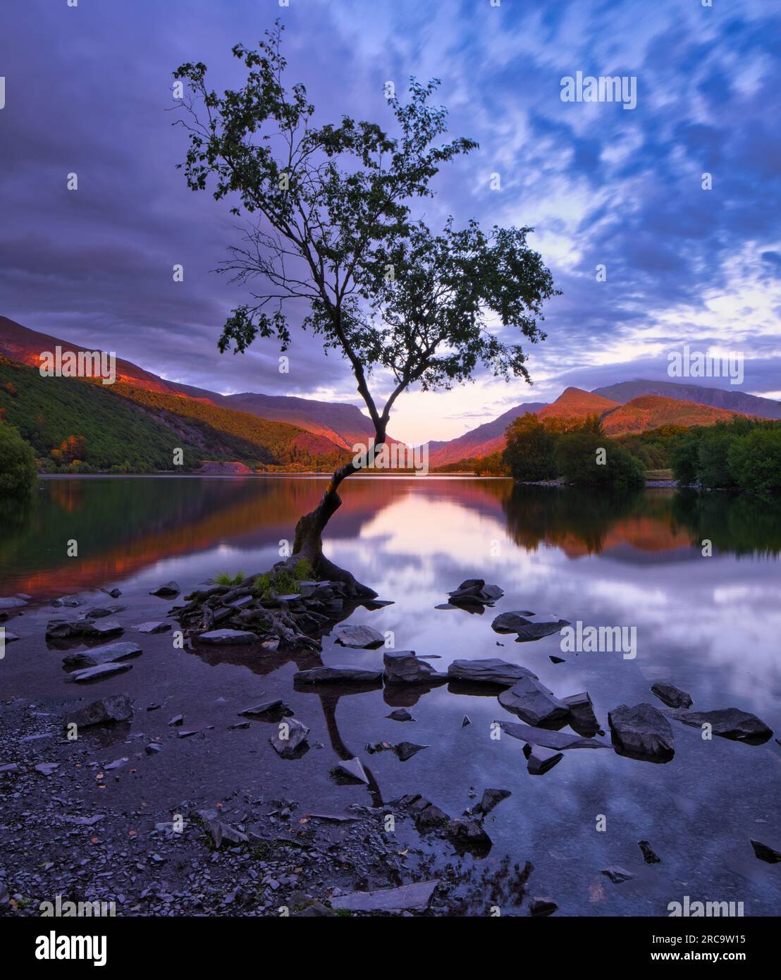 Beautiful golden glow hi-res stock photography and images - Alamy