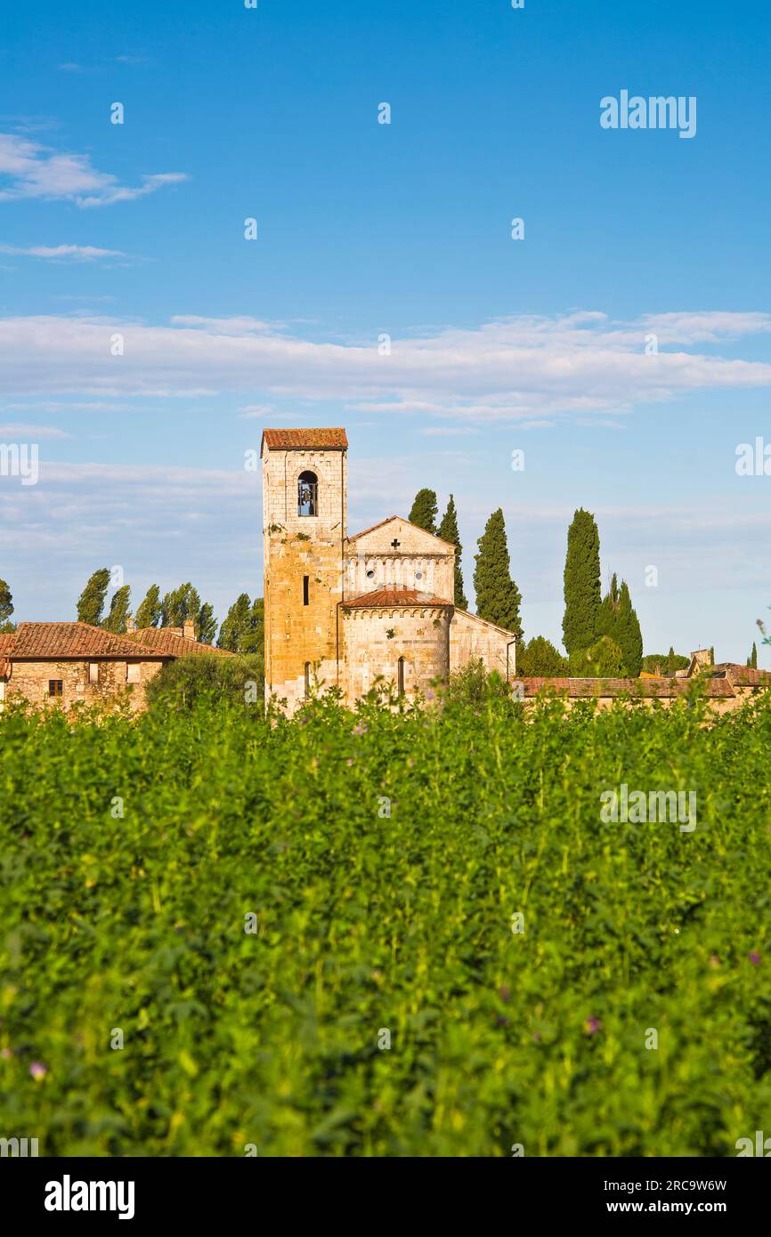 Ancient italian Romanesque church in the Tuscany countryside near a Cemetery - (Tuscany- Italy). Stock Photo