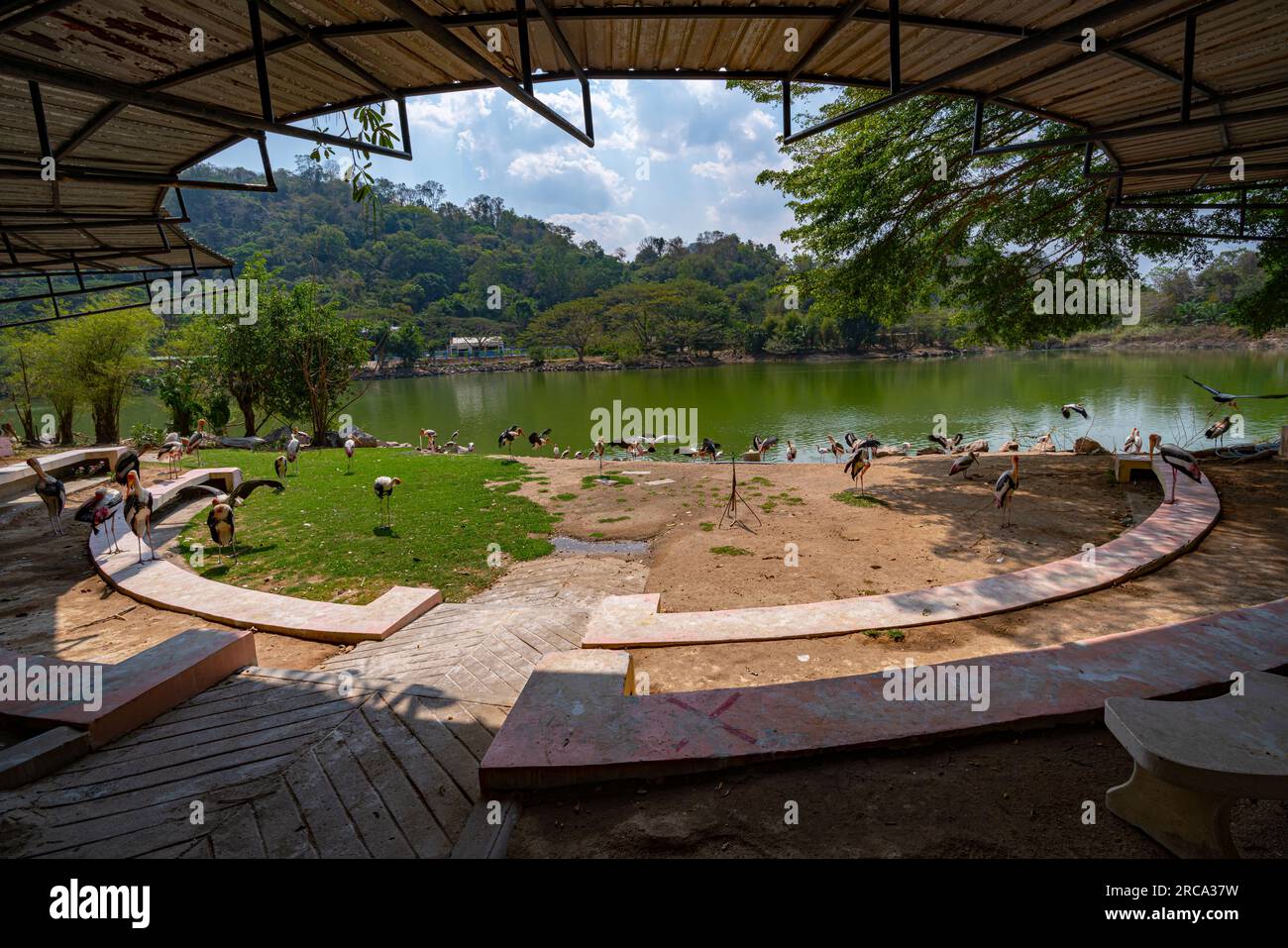 The lake in the khao kheow open zoo Stock Photo Alamy