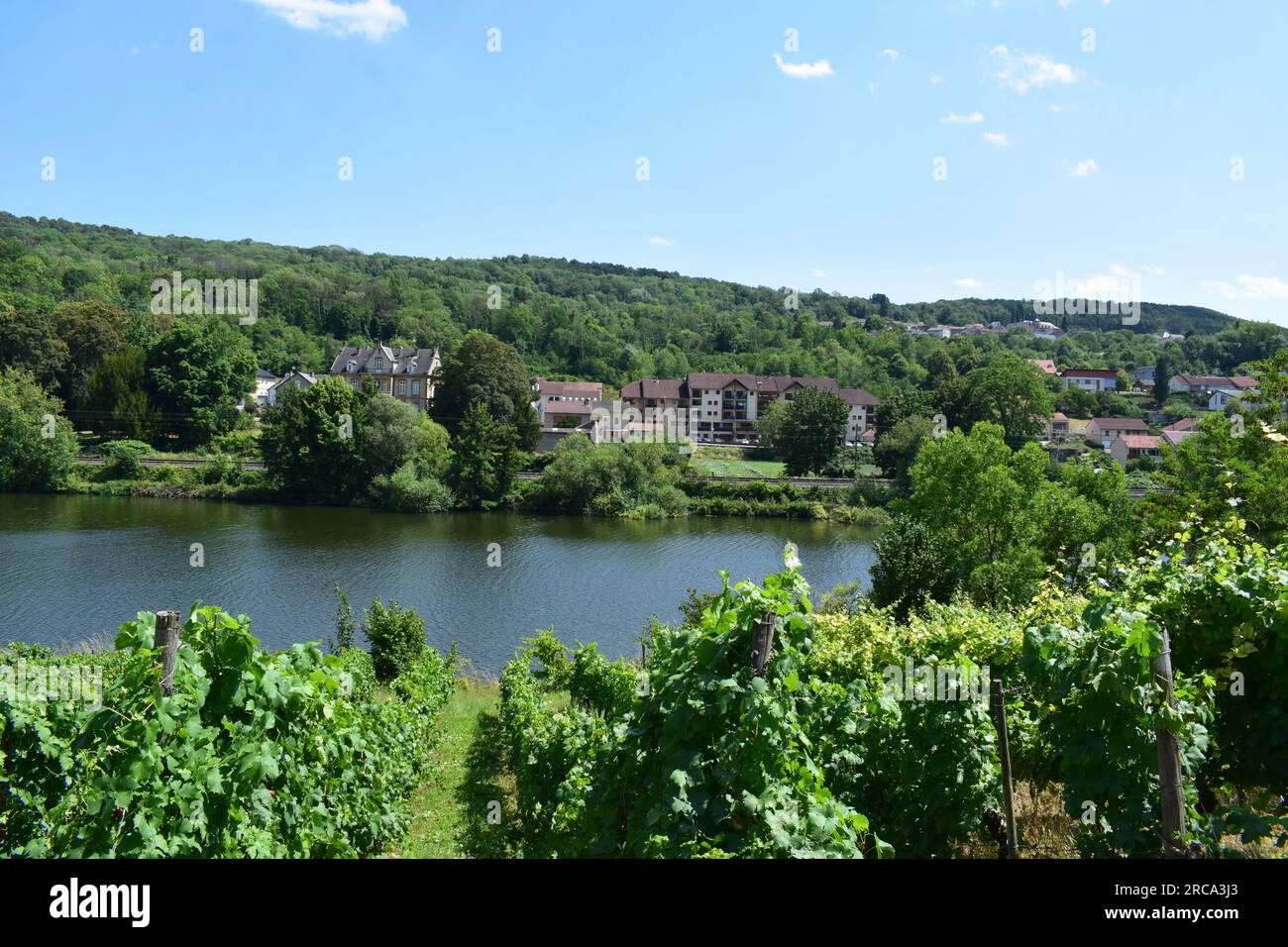 Moselle Valley with village Milchen Stock Photo