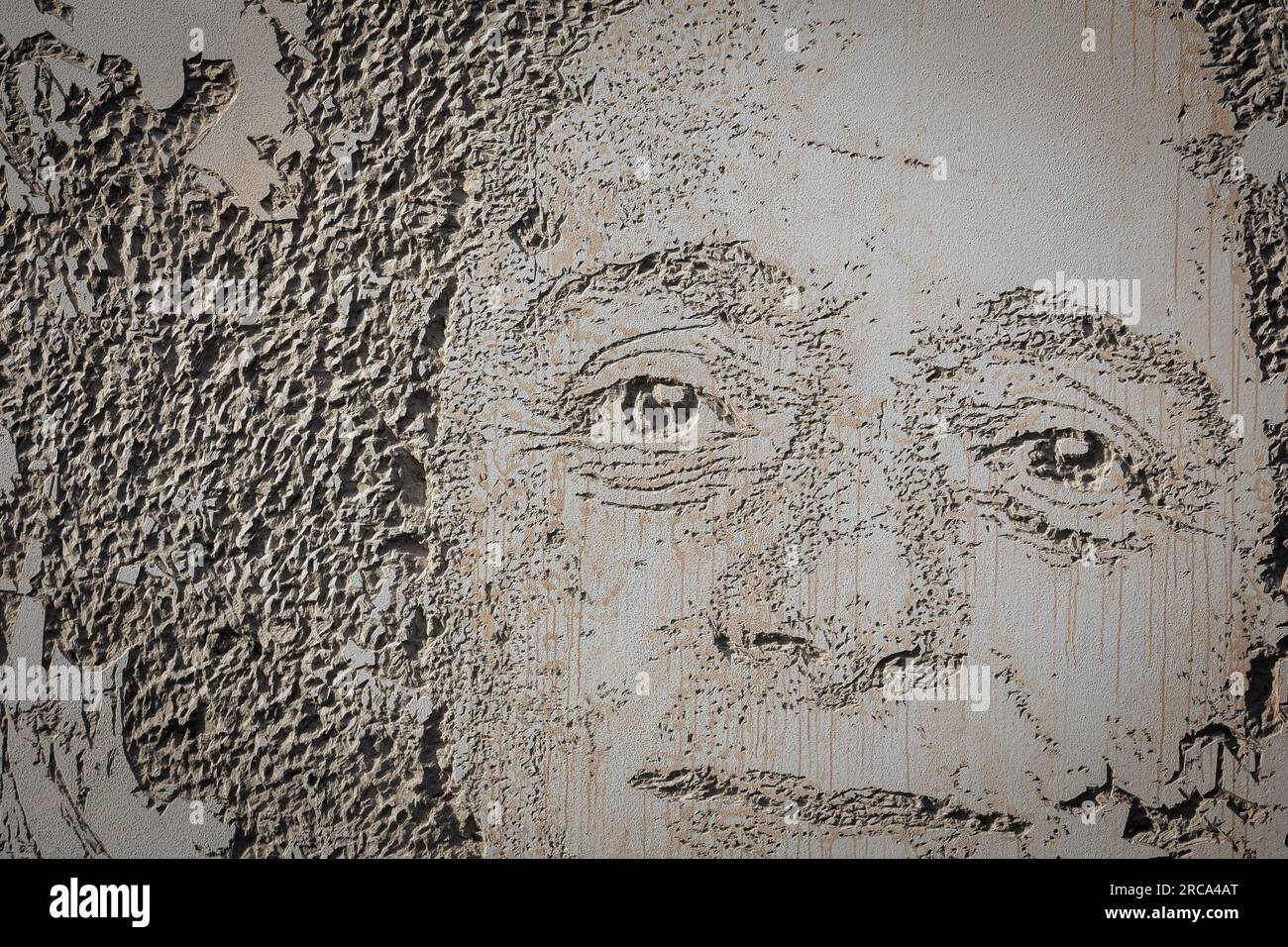 Substratum hi-res stock photography and images - Alamy