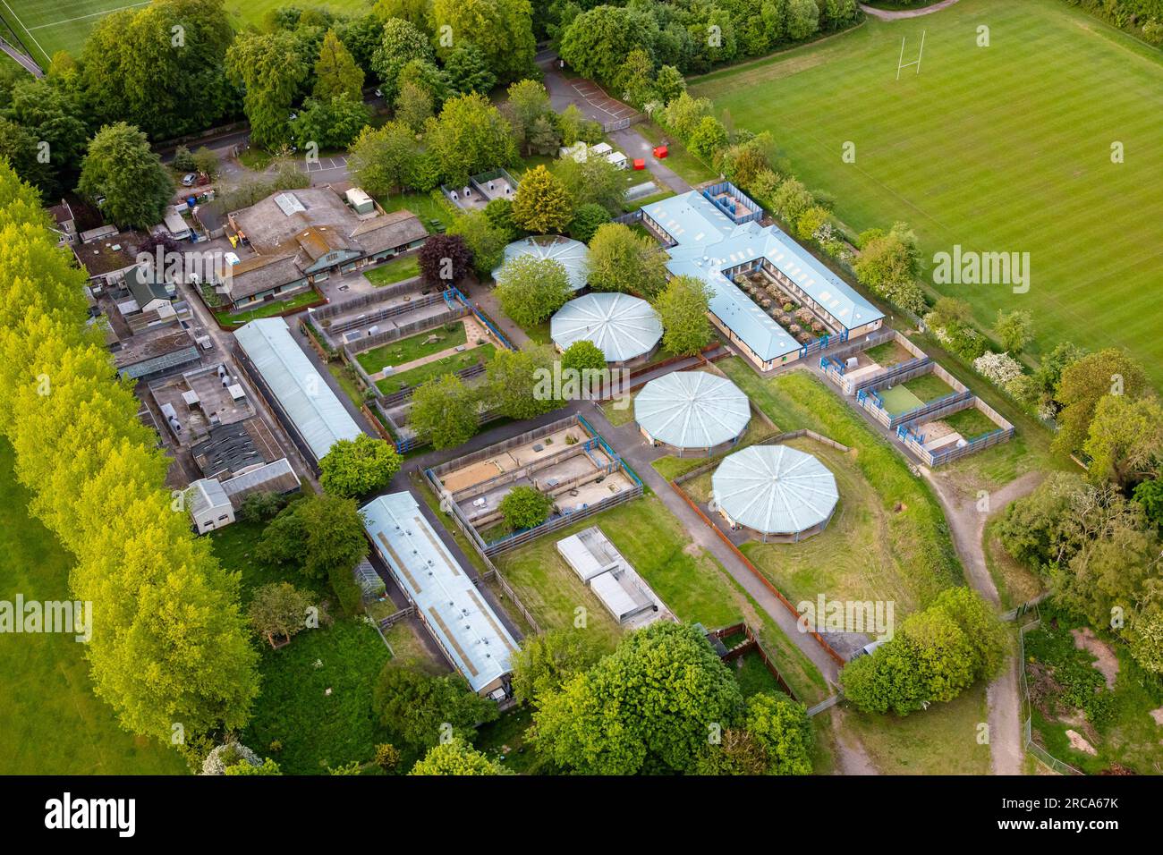 aerial photograph of Bath cats and dogs home Stock Photo Alamy