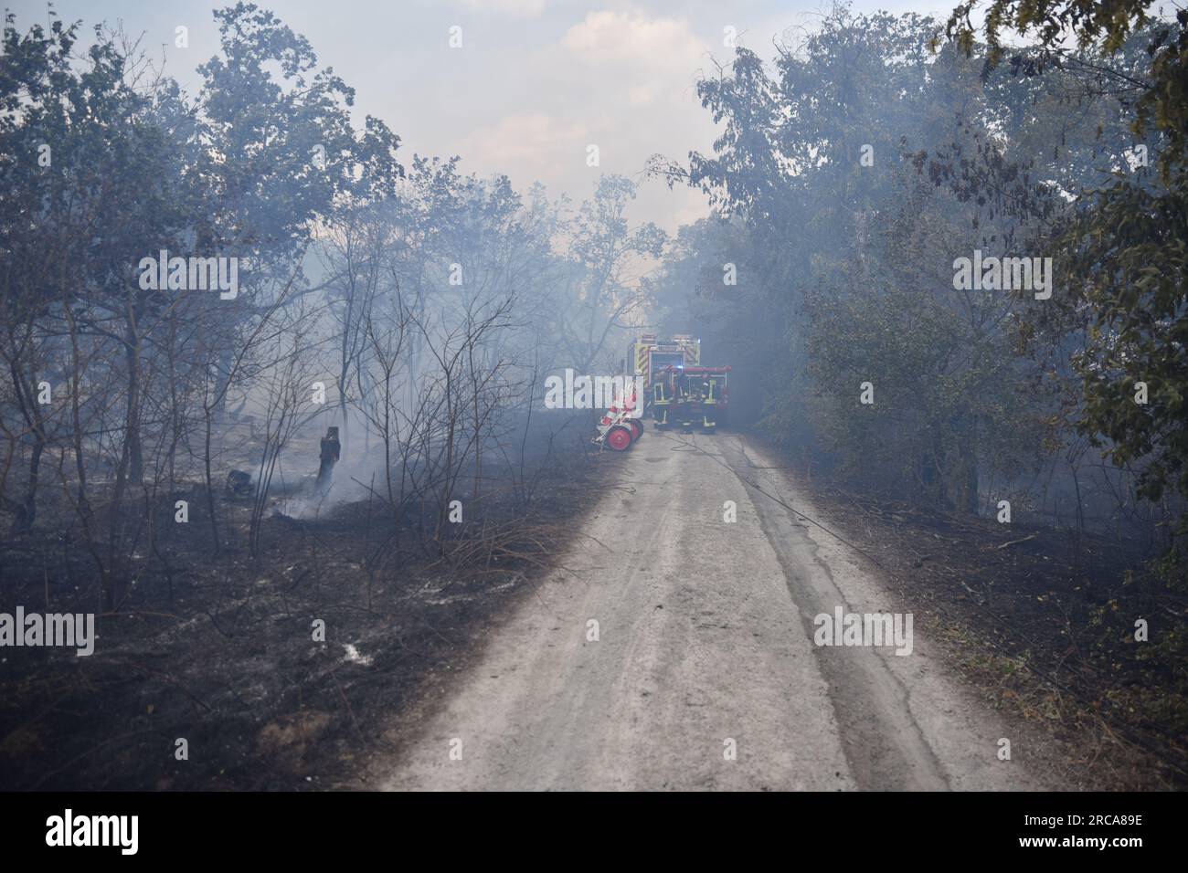 Eulau, Germany. 13th July, 2023. Firefighters try to contain a fire near Eulau. A fire broke out between the towns of Markröhlitz and Eulau in the Burgenland district on Thursday afternoon. Credit: Thomas Dilthey/dpa/Alamy Live News Stock Photo