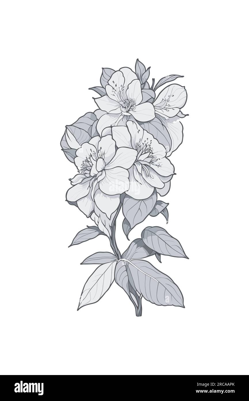 The leaves and flowers vector isolated. Hand drawn floral bunch, Pencil ...
