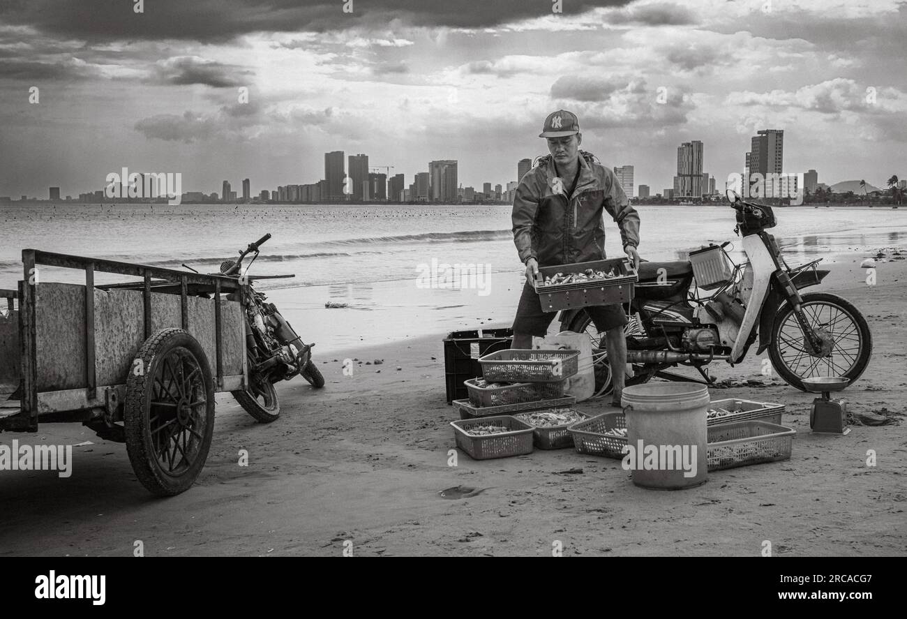 A fisherman lifts a tray of fish and seafood next to a rusty scooter on My Khe beach in Son Tra, Danang, Vietnam. Stock Photo