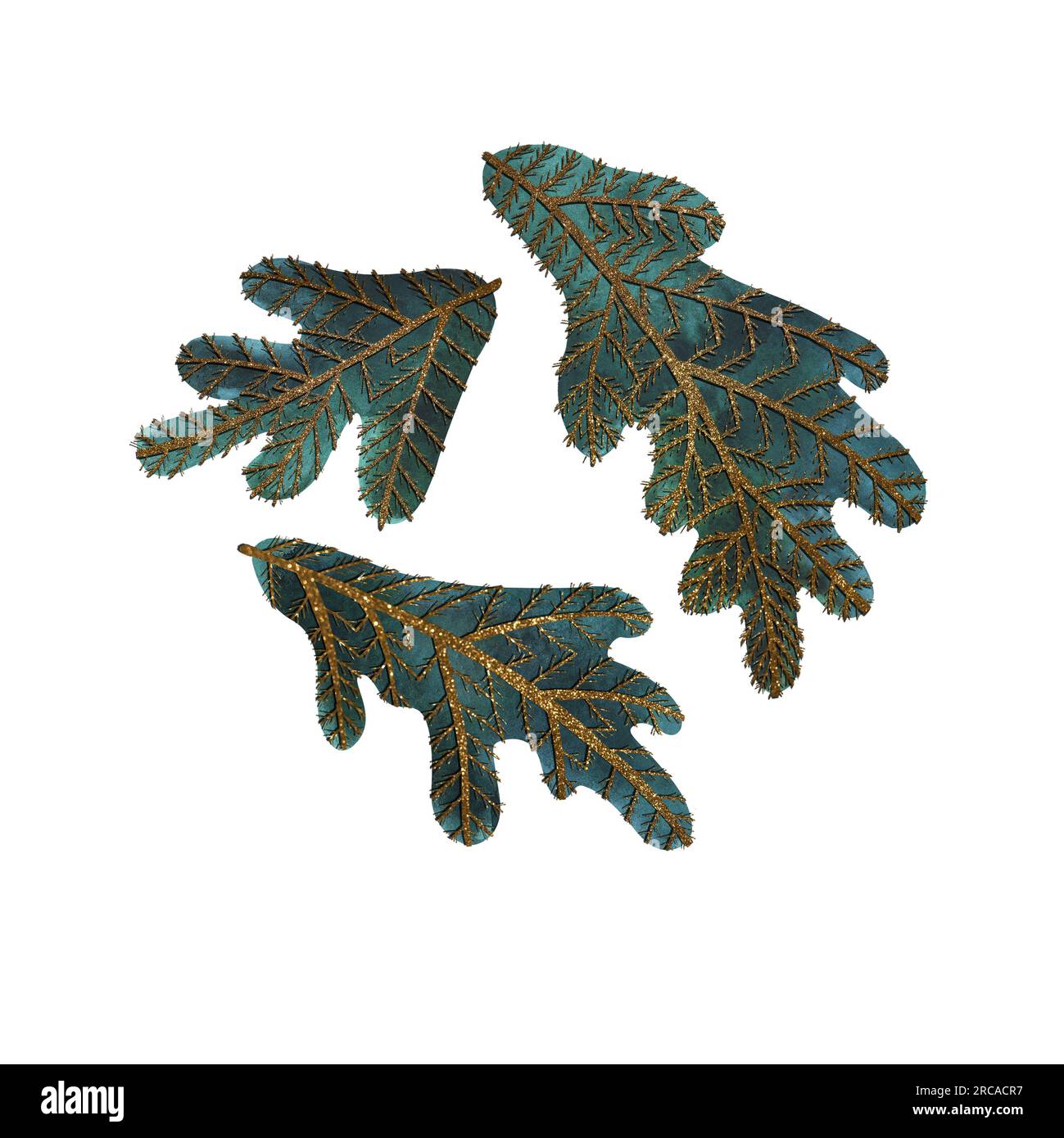 Watercolor branches of christmas tree. Pine. Isolated illustration ...