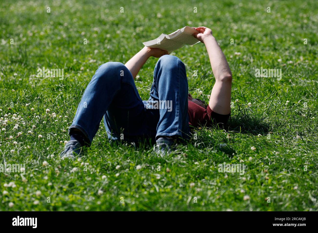 Boston common trees walking hi-res stock photography and images - Alamy